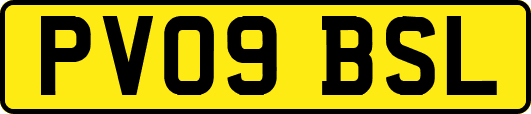 PV09BSL