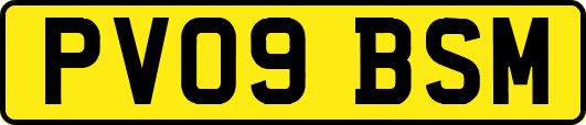 PV09BSM