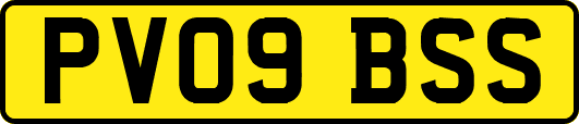 PV09BSS