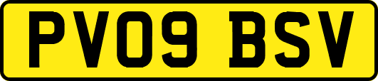 PV09BSV