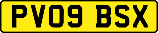 PV09BSX