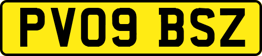 PV09BSZ