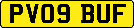 PV09BUF
