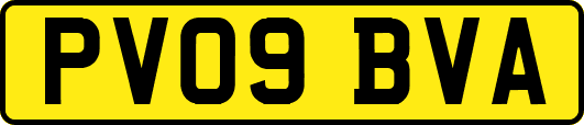 PV09BVA