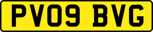 PV09BVG