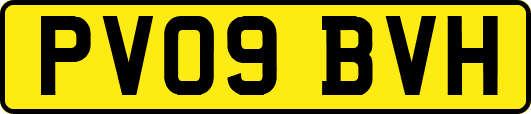 PV09BVH