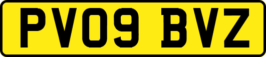 PV09BVZ