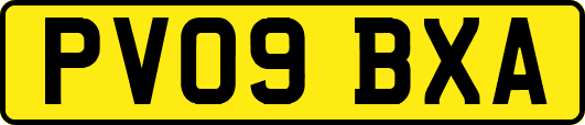 PV09BXA