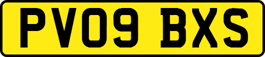 PV09BXS