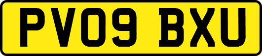 PV09BXU