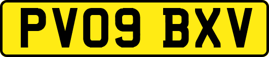 PV09BXV