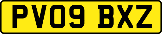 PV09BXZ