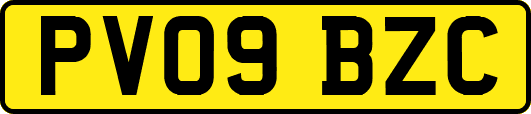 PV09BZC