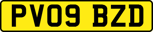 PV09BZD