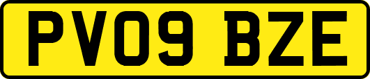PV09BZE