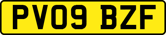 PV09BZF
