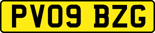 PV09BZG