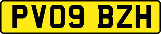 PV09BZH
