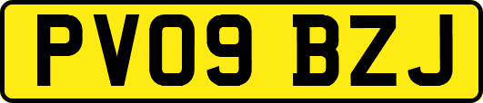 PV09BZJ