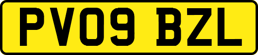 PV09BZL