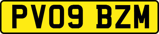 PV09BZM