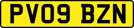 PV09BZN