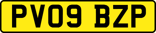 PV09BZP