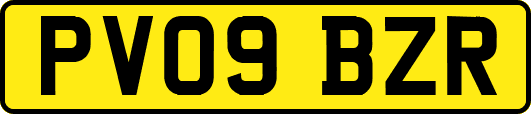 PV09BZR