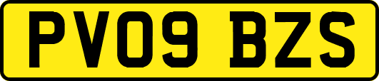 PV09BZS