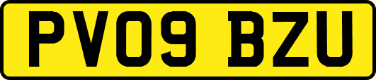 PV09BZU