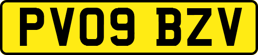 PV09BZV