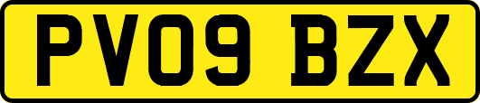 PV09BZX
