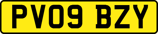 PV09BZY