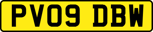PV09DBW