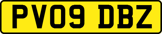 PV09DBZ