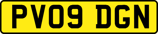 PV09DGN