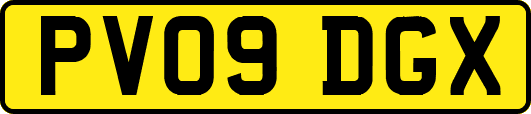 PV09DGX