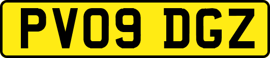 PV09DGZ