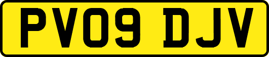 PV09DJV