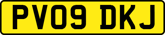 PV09DKJ