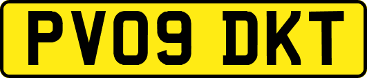 PV09DKT