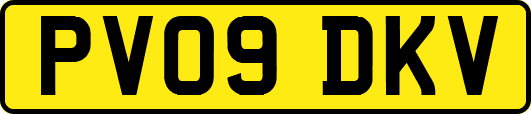 PV09DKV