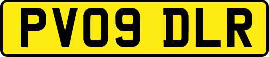 PV09DLR