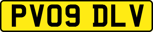 PV09DLV