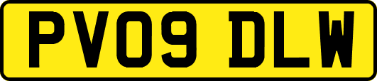 PV09DLW