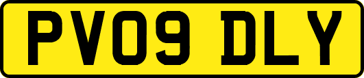 PV09DLY