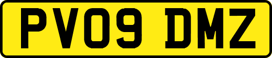PV09DMZ