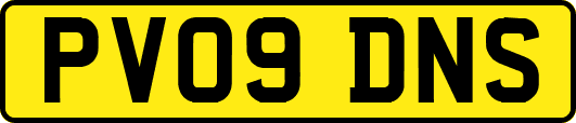 PV09DNS
