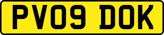 PV09DOK