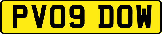 PV09DOW